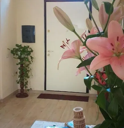 Aeroporto/stazione Guest house *